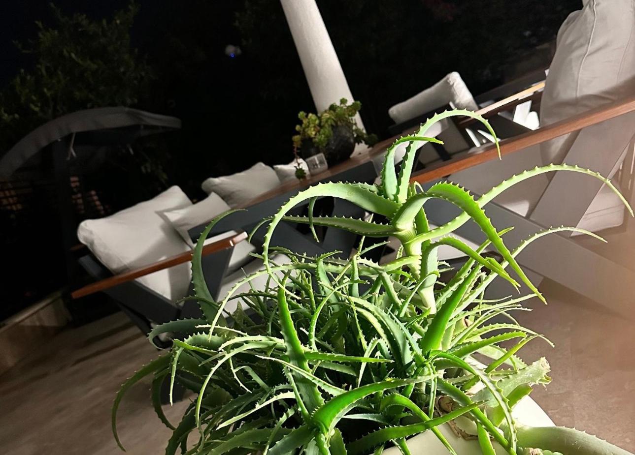 Noa Suite Hotel Only Adult Bodrum Zewnętrze zdjęcie